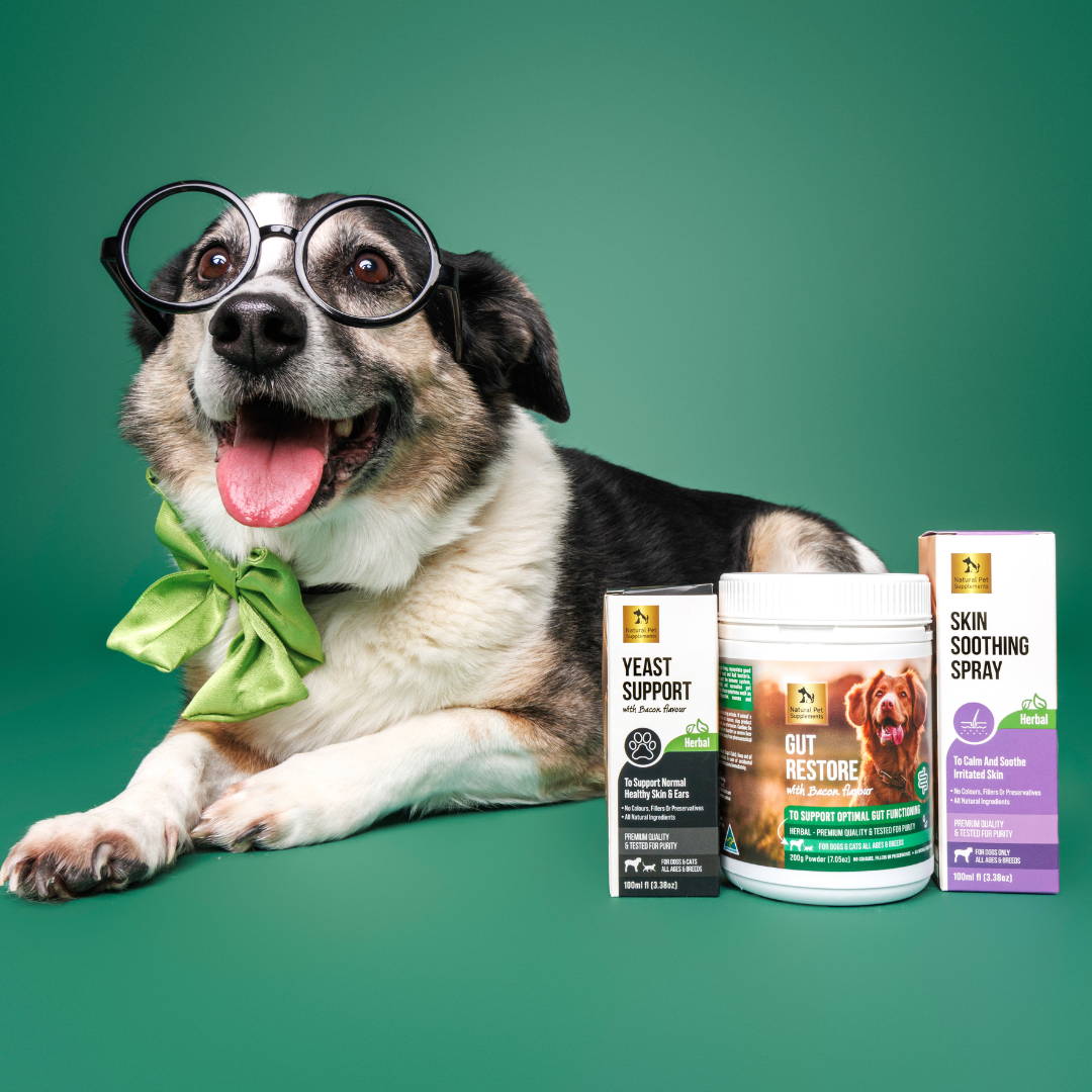 Yeast Kit For Dogs and Cats I Natural Pet Supplements Australia
